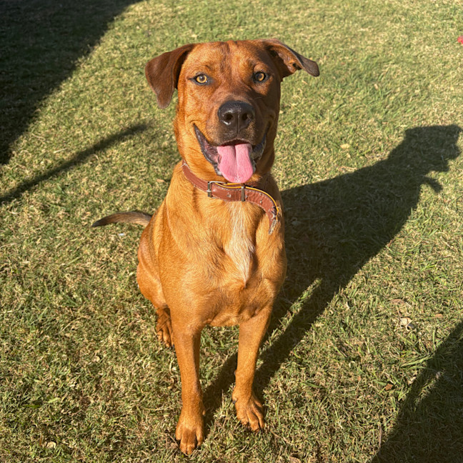 Photo of Leo