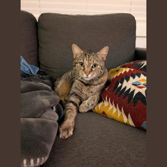 Photo of Hazel   In Foster Care In Brunswick East