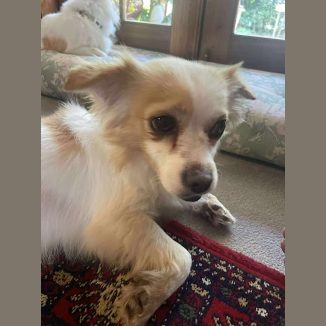 Photo of Pablo