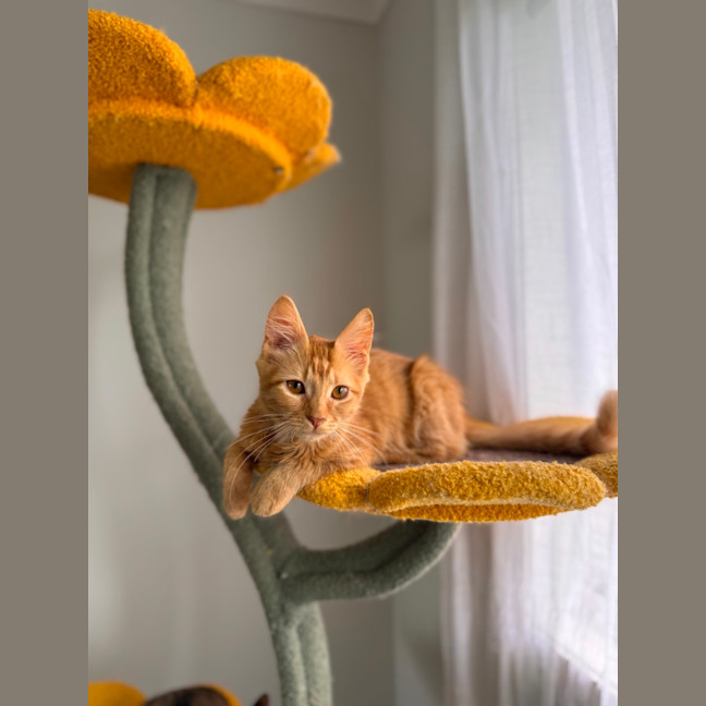 Photo of Zeus