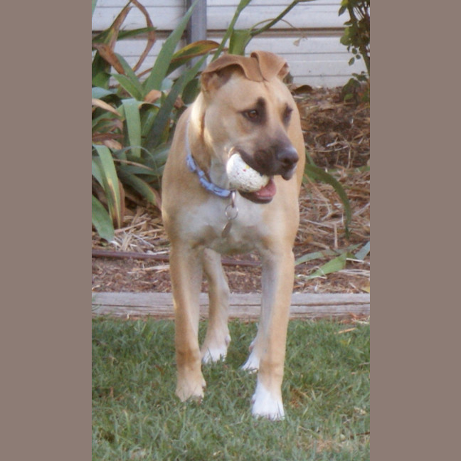 Photo of Lola