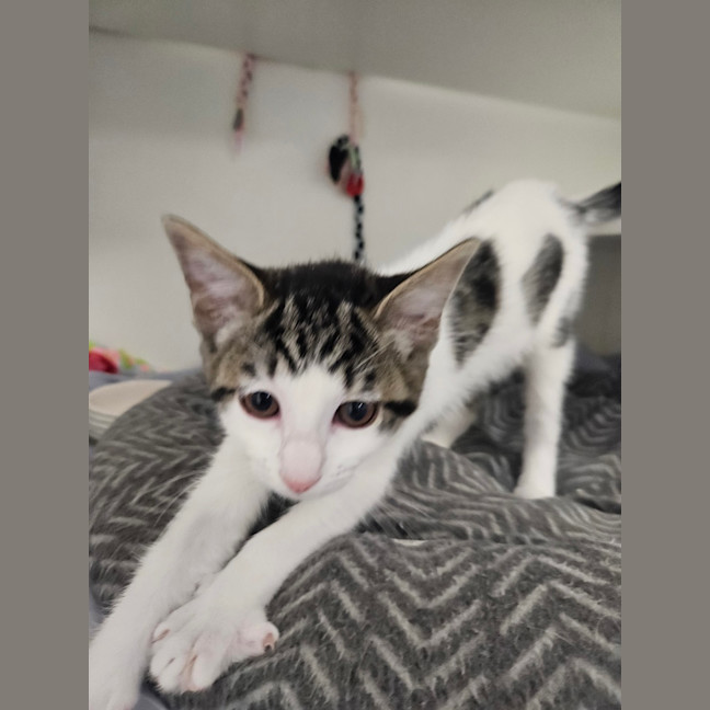 Photo of Windy