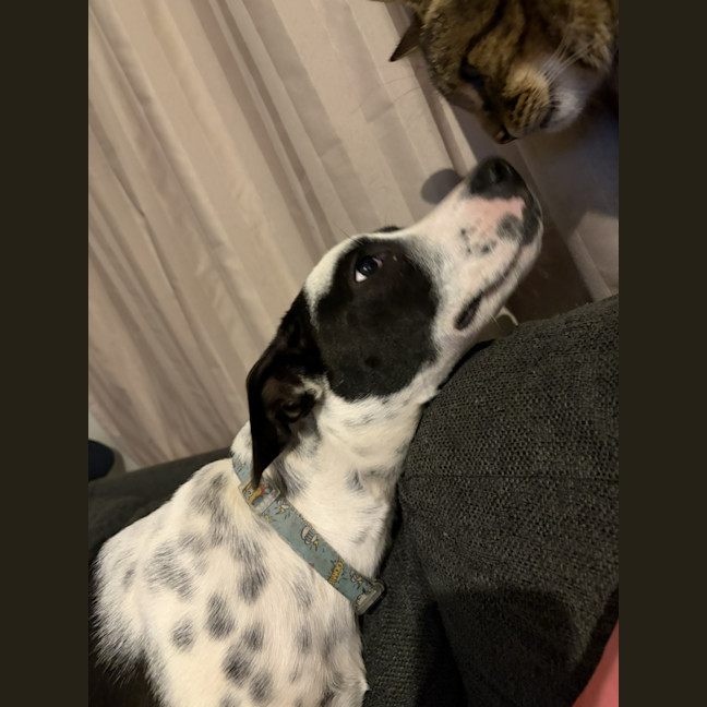 Photo of Jessie