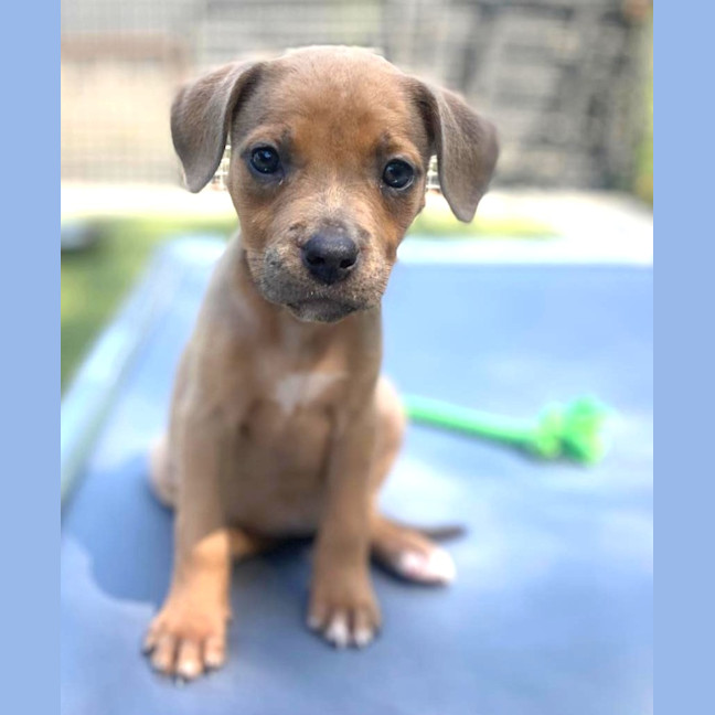 Photo of D1200 Willamina