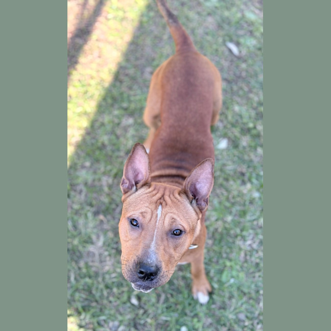 Photo of Reuben