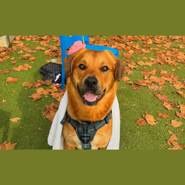 Photo of Clifford