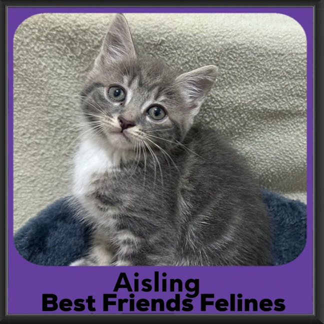 Photo of Aisling 