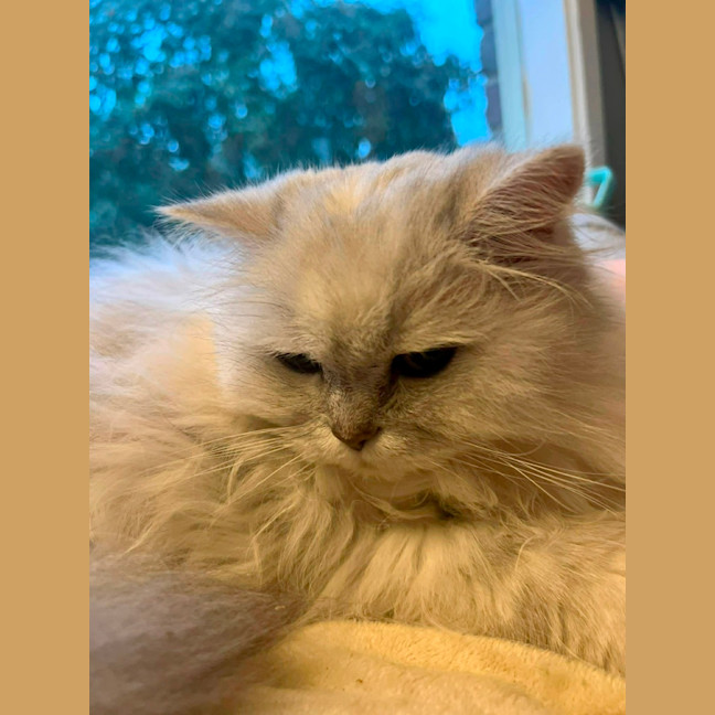 Photo of Jessie