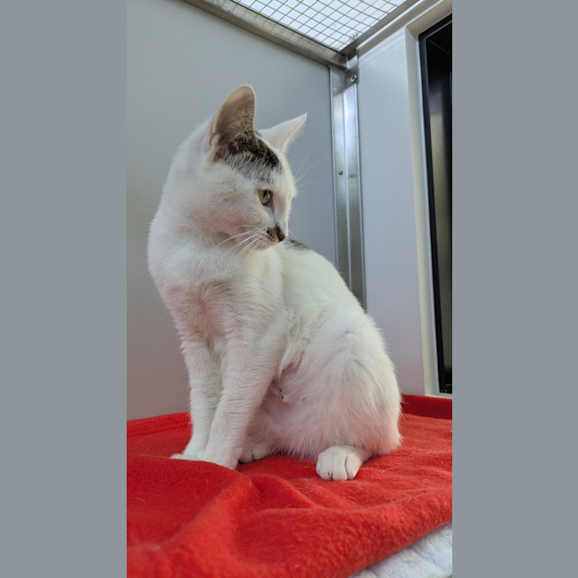Photo of Tammy