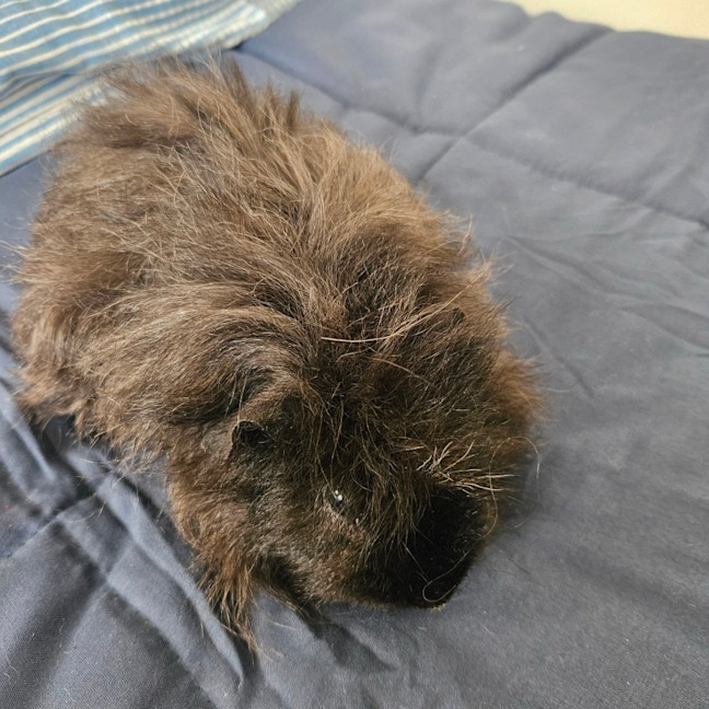 Photo of Fred & Barney