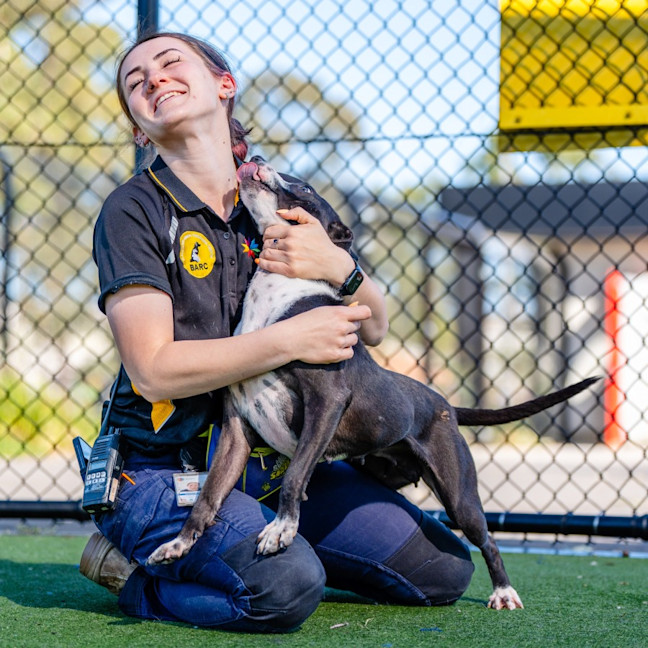 Photo of Nelly Imp 1404