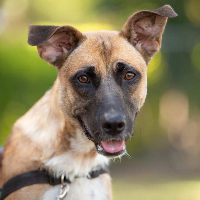 Photo of Wilma