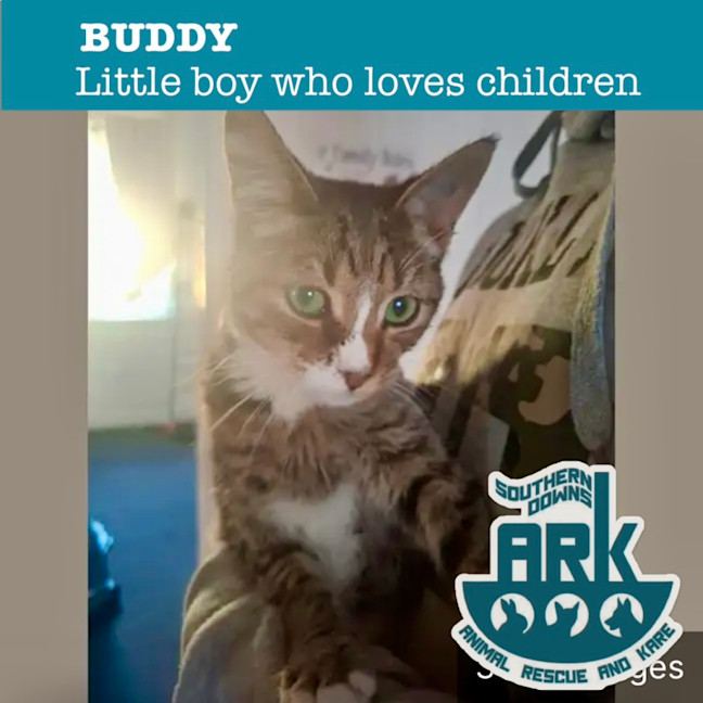 Photo of Buddy