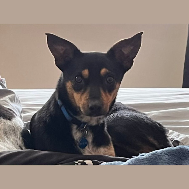 Photo of Winnie