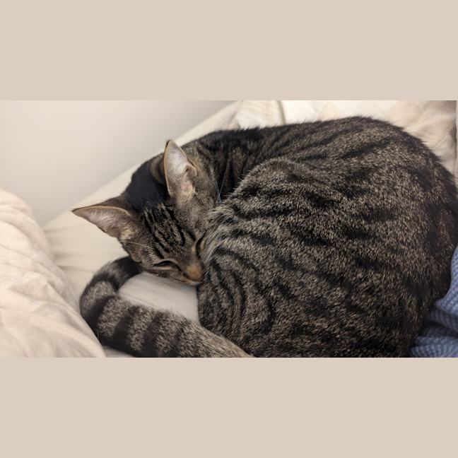 Photo of Jupiter