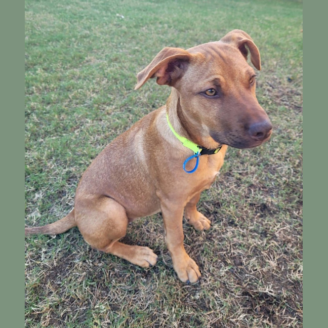 Photo of Salsa