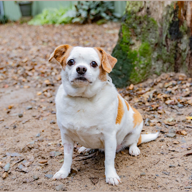 Photo of Kiki