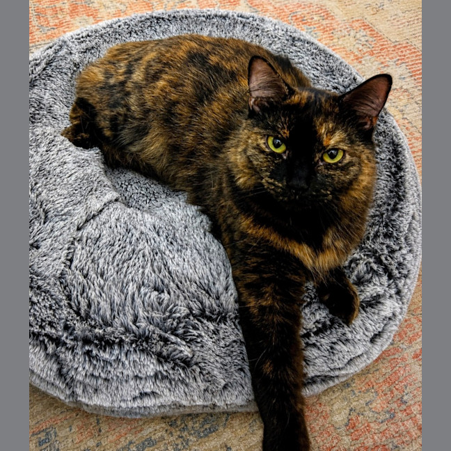 Photo of Mia