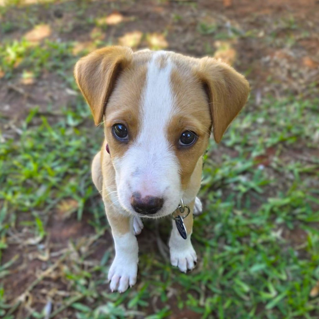 Photo of Jewel