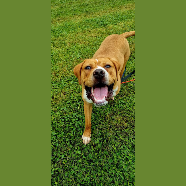 Photo of Rosie