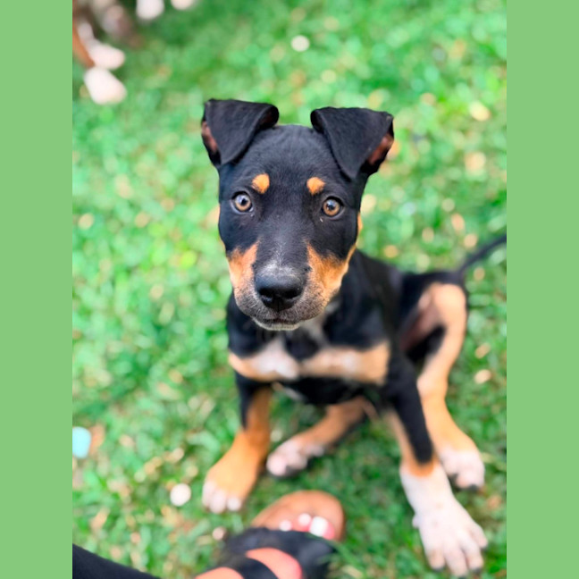 Photo of Jessie
