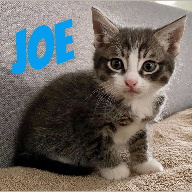 Photo of Joe