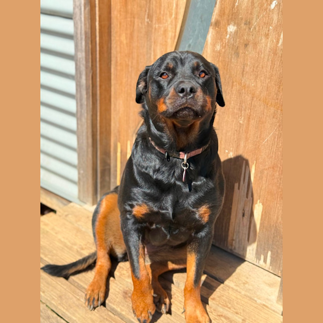 Photo of Bonnie