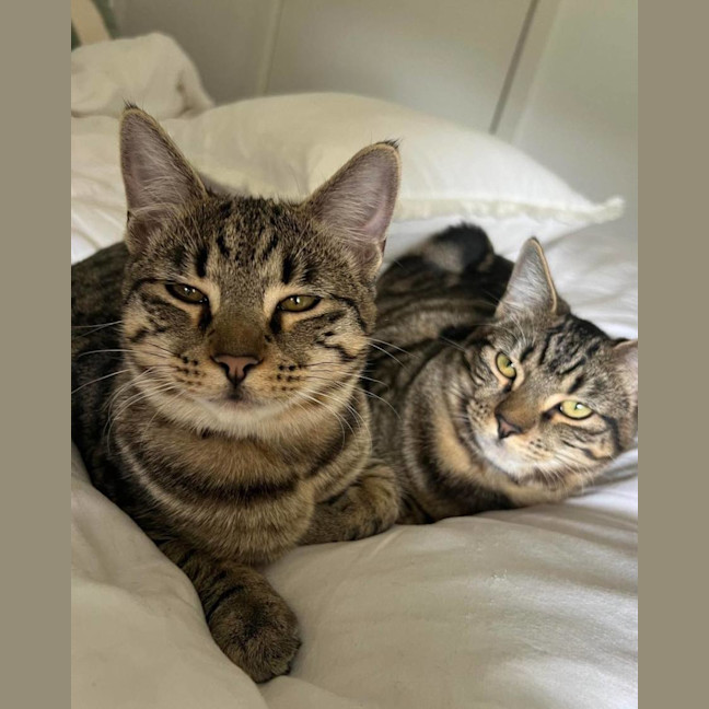 Photo of Tiga & Winnie 