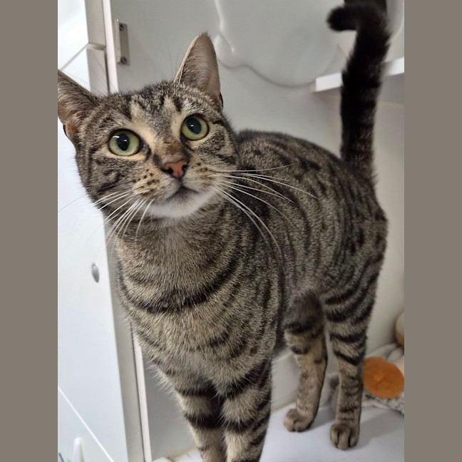 Photo of Winnie
