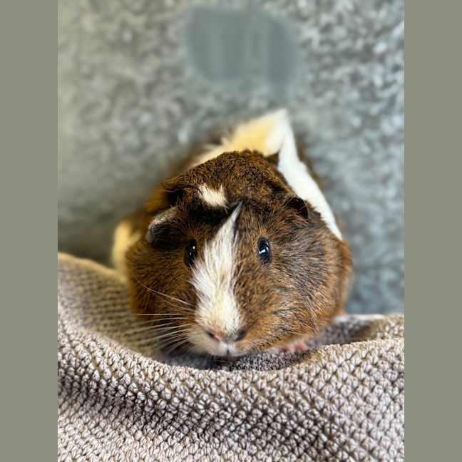 Photo of George