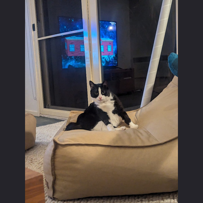 Photo of Sam