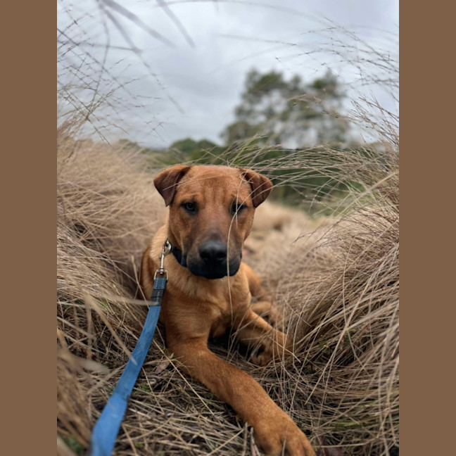 Photo of Axel