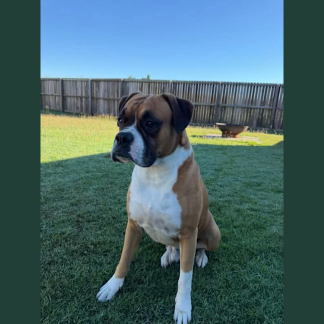 Photo of Ruben
