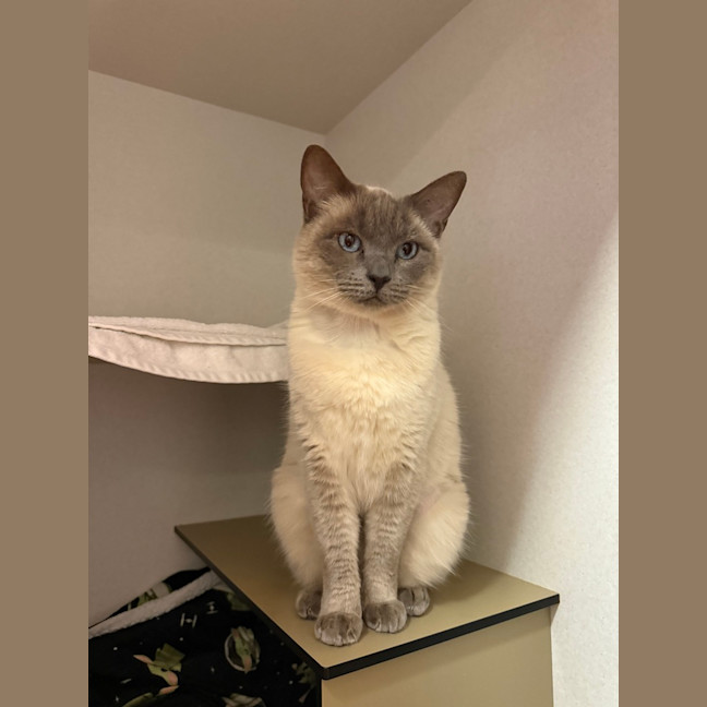 Photo of Precious