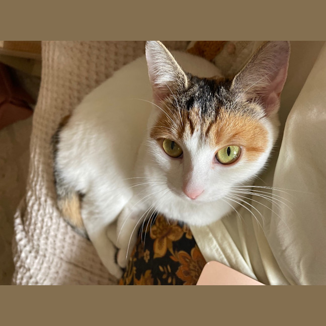 Photo of Daisy