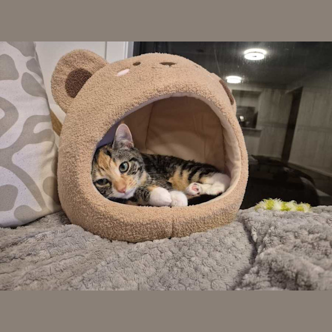 Photo of Cleopatra