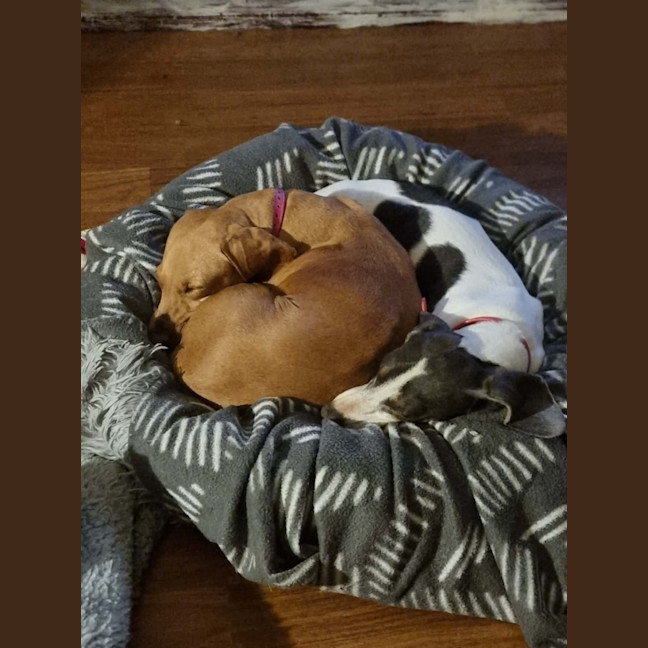 Photo of Destiny & Ivy