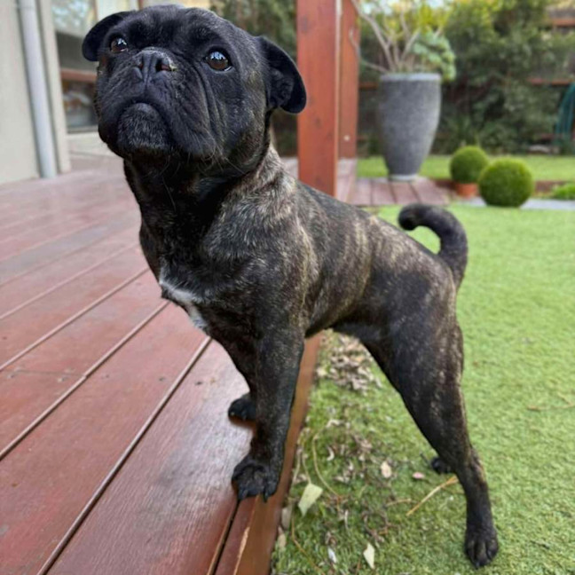 Photo of 🍇Raisin🍇