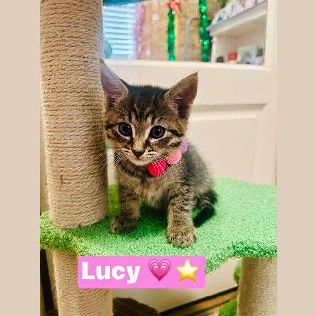 Photo of Lucy