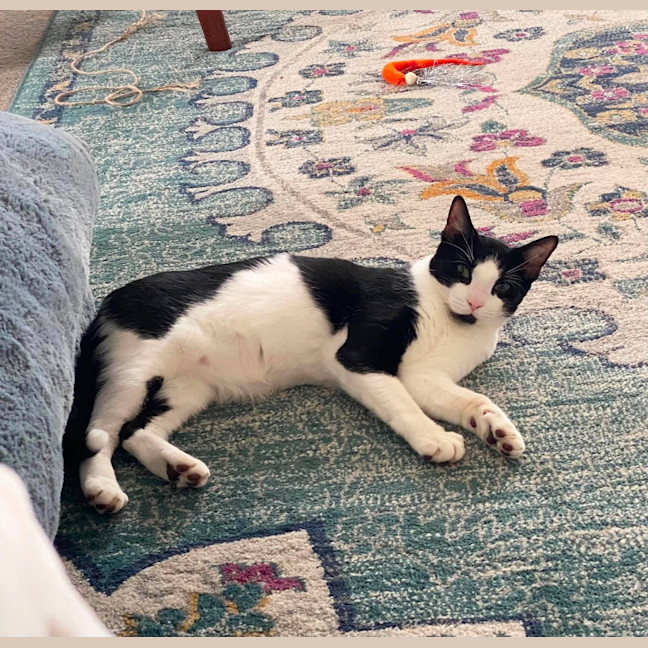 Photo of Boots