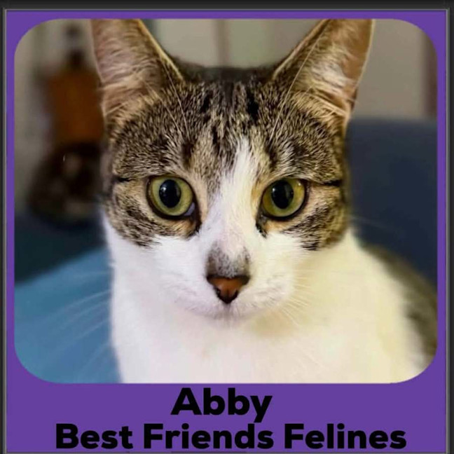 Photo of Abby
