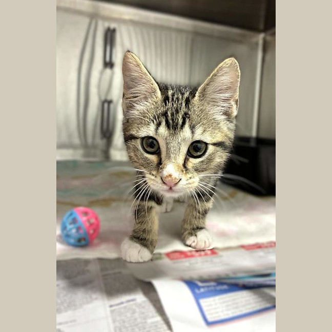Photo of Winky