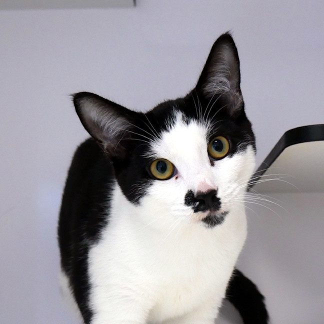 Photo of Oliver Suk014698