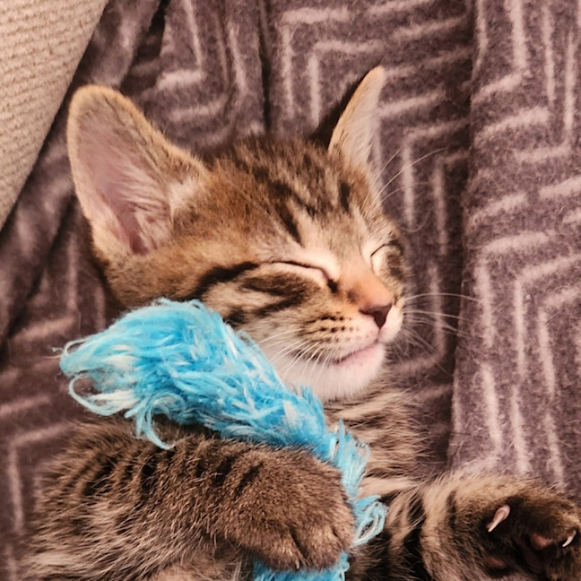 Photo of Kiara