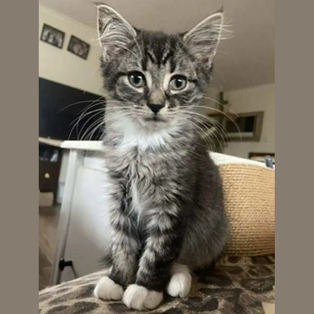 Photo of Jinx