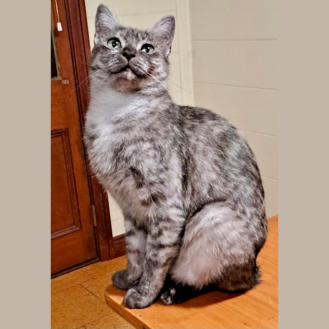 Photo of Truffles