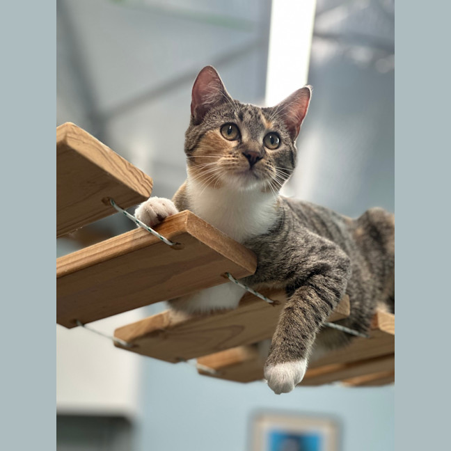 Photo of Bonnie