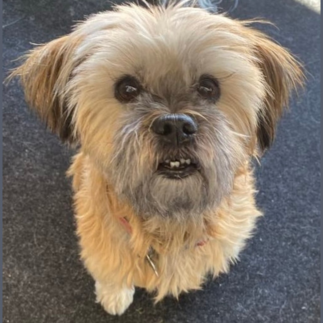 Photo of Cindy Lou