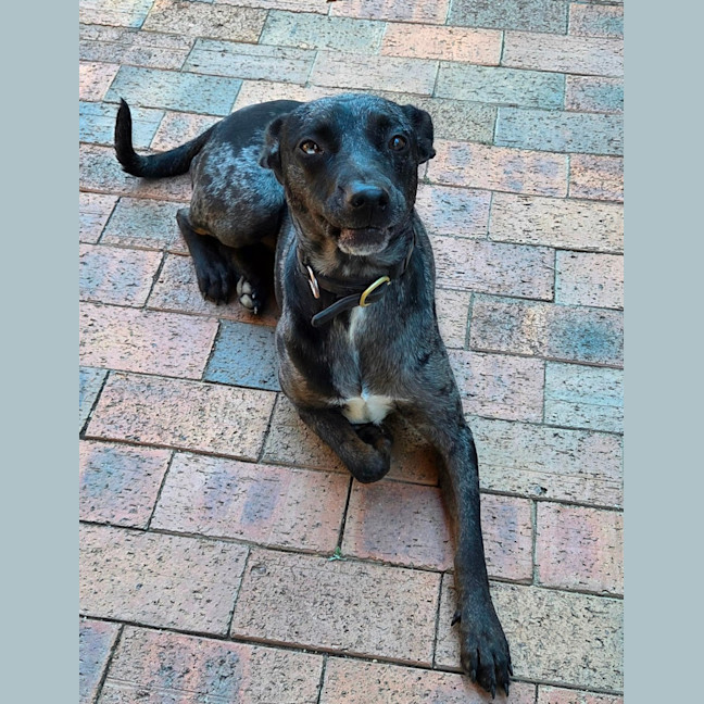 Photo of Luna 