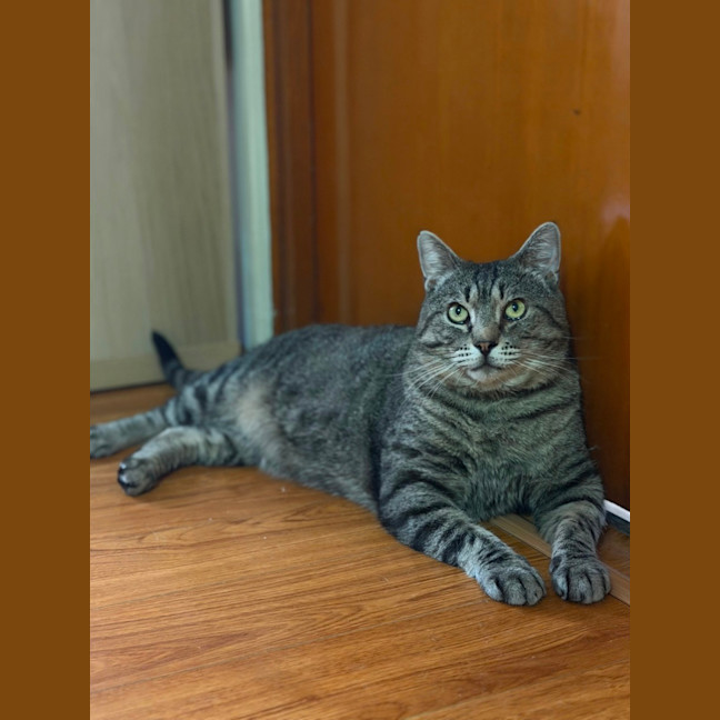 Photo of Tom